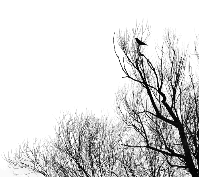 Front Page Img2 1