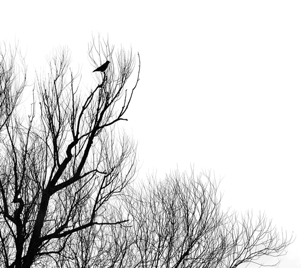 Front Page Img3 1